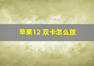 苹果12 双卡怎么放